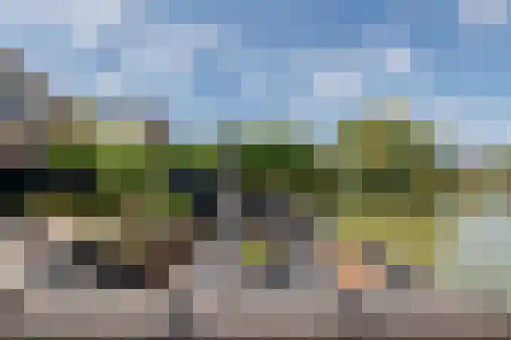 Betuwe Singel 8 Lienden thumbnail 11