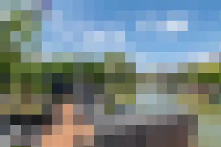 Betuwe Singel 8 Lienden thumbnail 12