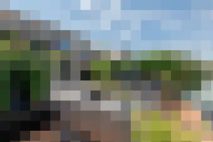 Betuwe Singel 8 Lienden thumbnail 13