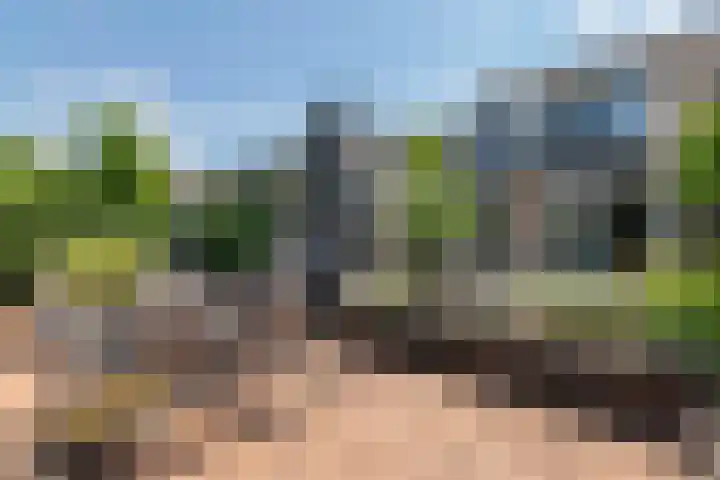 Betuwe Singel 8 Lienden thumbnail 14