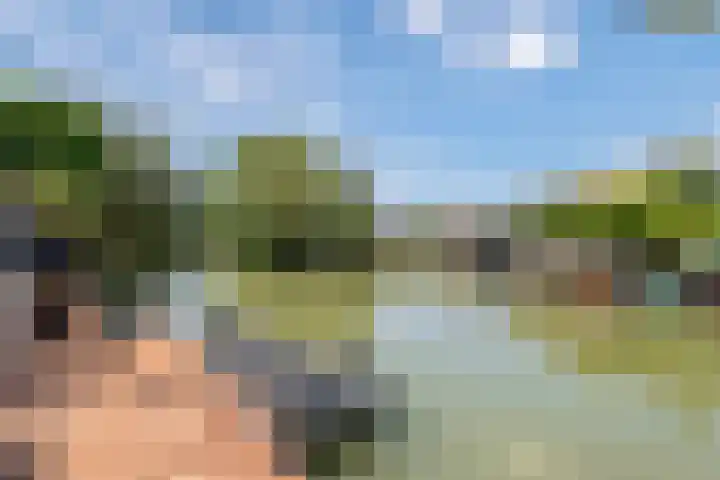 Betuwe Singel 8 Lienden thumbnail 15