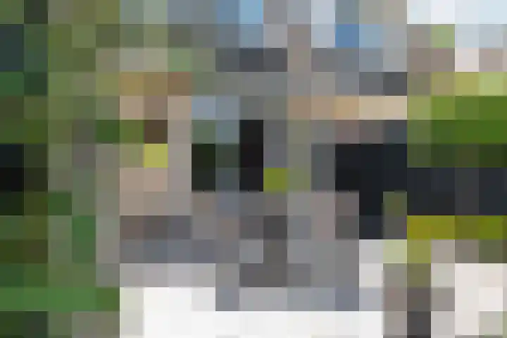 Betuwe Singel 8 Lienden thumbnail 16