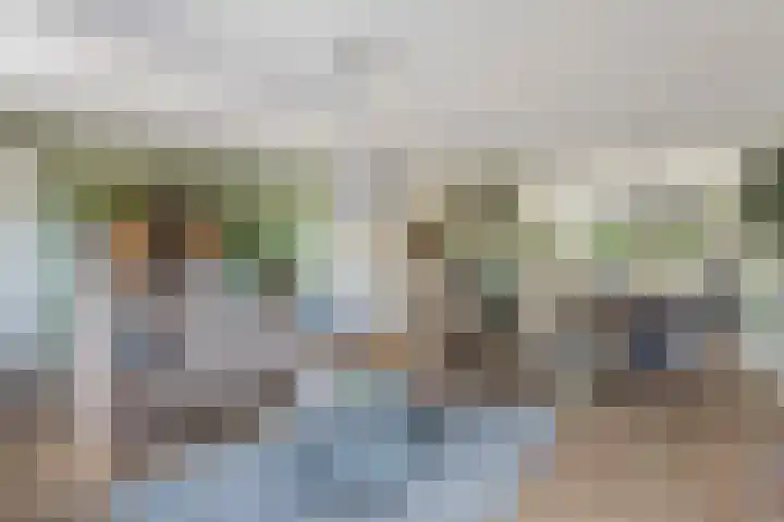 Betuwe Singel 8 Lienden thumbnail 21