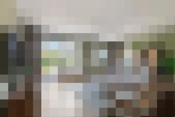 Betuwe Singel 8 Lienden thumbnail 22