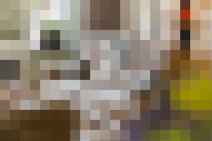 Betuwe Singel 8 Lienden thumbnail 24
