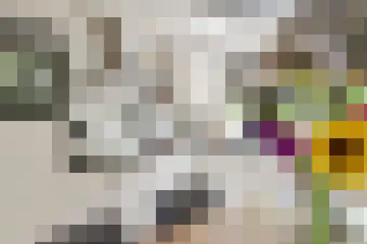 Betuwe Singel 8 Lienden thumbnail 26