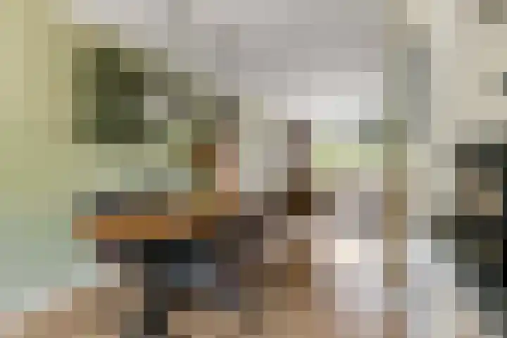 Betuwe Singel 8 Lienden thumbnail 28