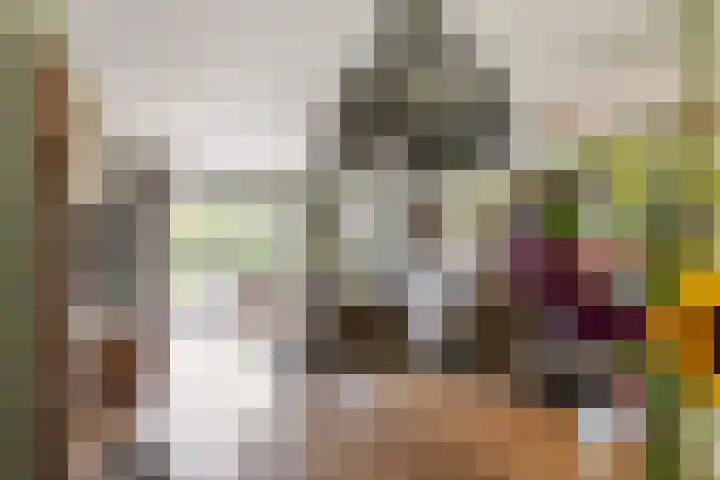 Betuwe Singel 8 Lienden thumbnail 29