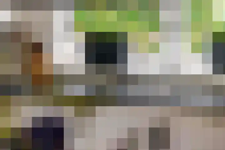 Betuwe Singel 8 Lienden thumbnail 30
