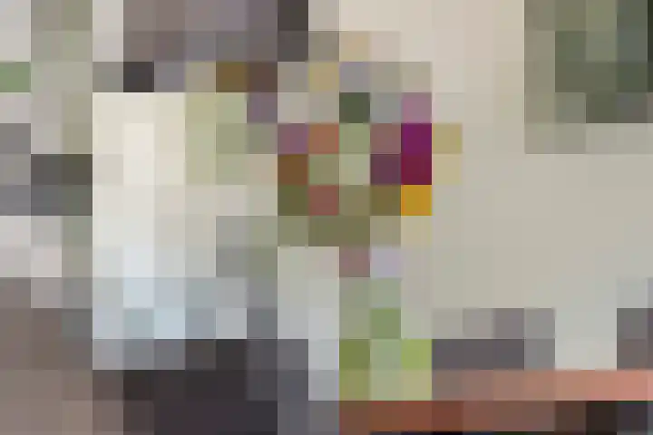 Betuwe Singel 8 Lienden thumbnail 32