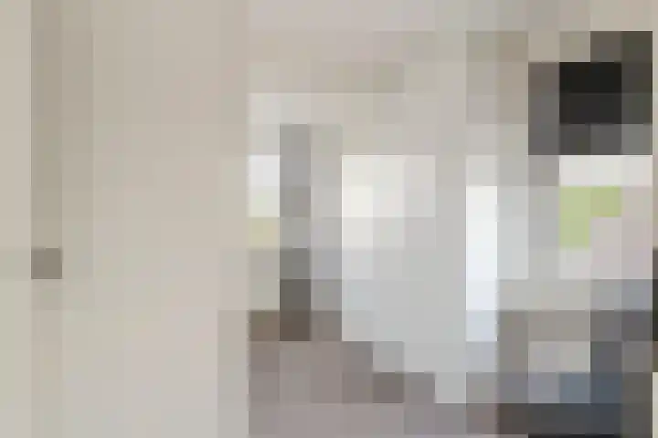 Betuwe Singel 8 Lienden thumbnail 34