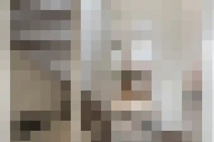 Betuwe Singel 8 Lienden thumbnail 35