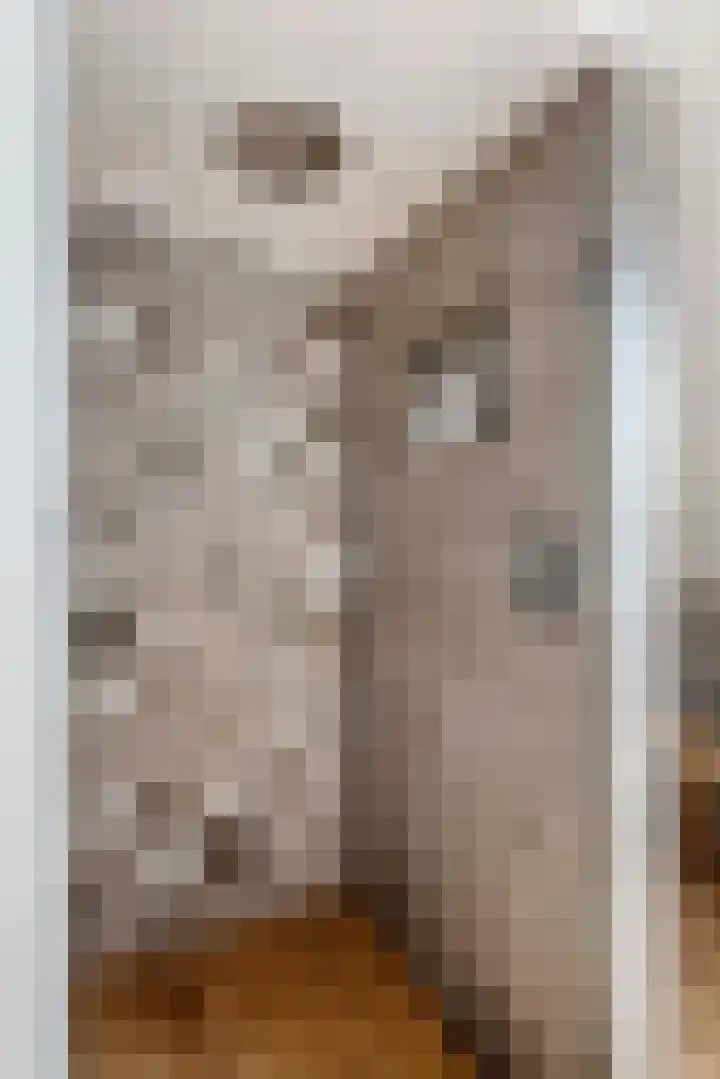 Betuwe Singel 8 Lienden thumbnail 36