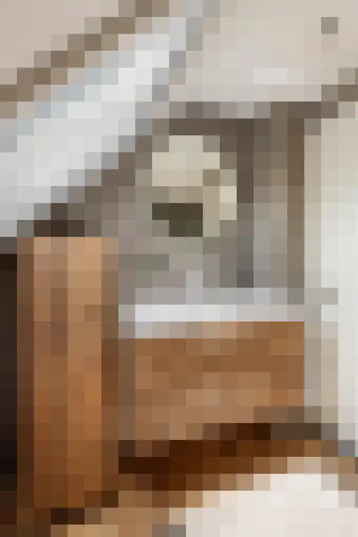 Betuwe Singel 8 Lienden thumbnail 37
