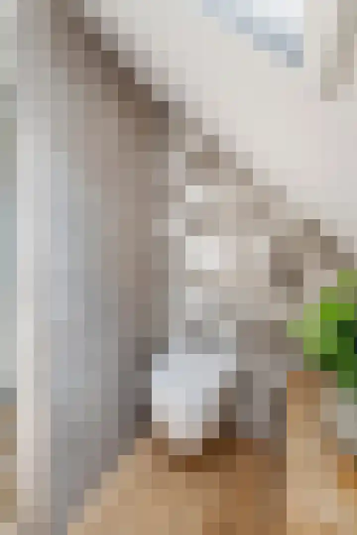 Betuwe Singel 8 Lienden thumbnail 38