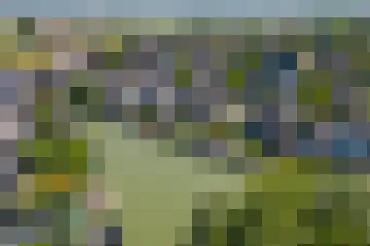 Betuwe Singel 8 Lienden thumbnail 4