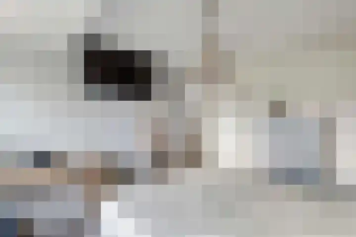 Betuwe Singel 8 Lienden thumbnail 40