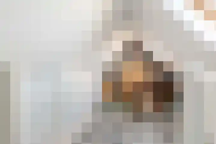 Betuwe Singel 8 Lienden thumbnail 43
