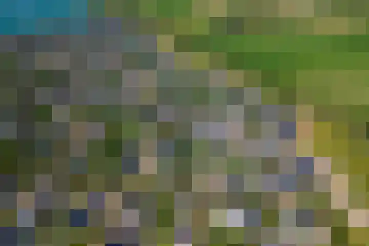Betuwe Singel 8 Lienden thumbnail 44