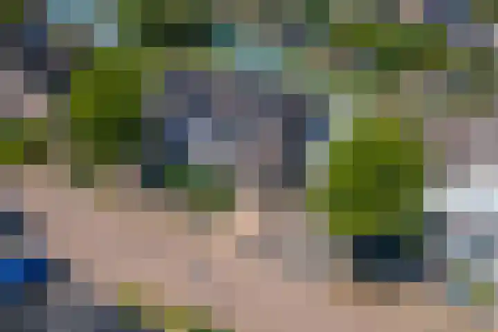 Betuwe Singel 8 Lienden thumbnail 47