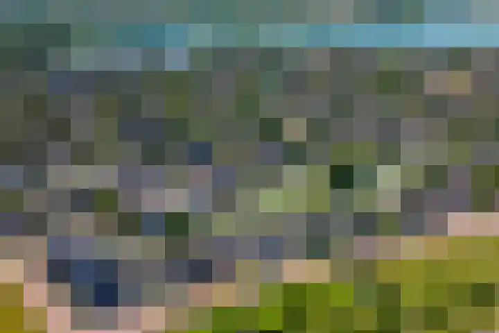 Betuwe Singel 8 Lienden thumbnail 48