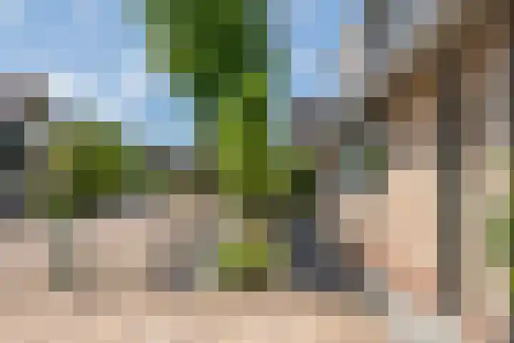 Betuwe Singel 8 Lienden thumbnail 5