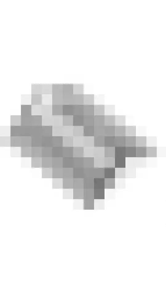 Betuwe Singel 8 Lienden thumbnail 56