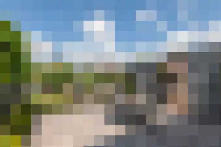 Betuwe Singel 8 Lienden thumbnail 7