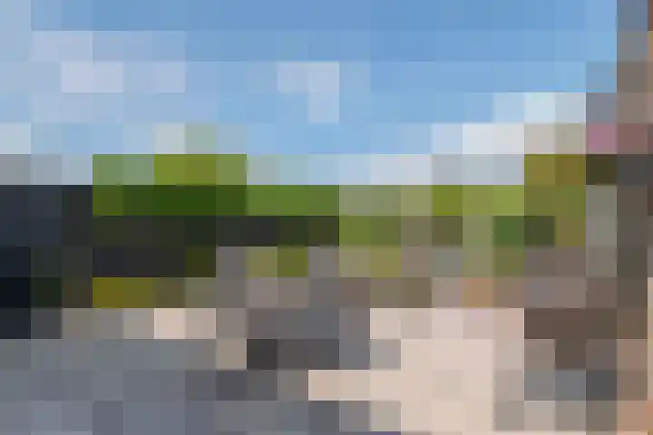 Betuwe Singel 8 Lienden thumbnail 8