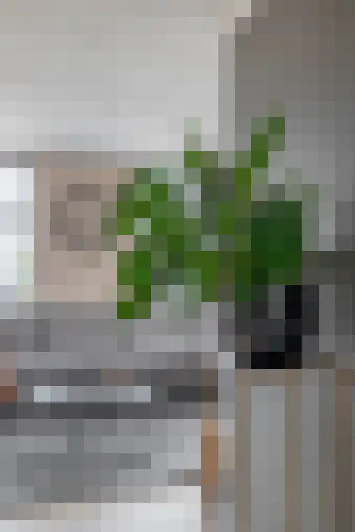 Betuwehof 32 A Helmond thumbnail 18