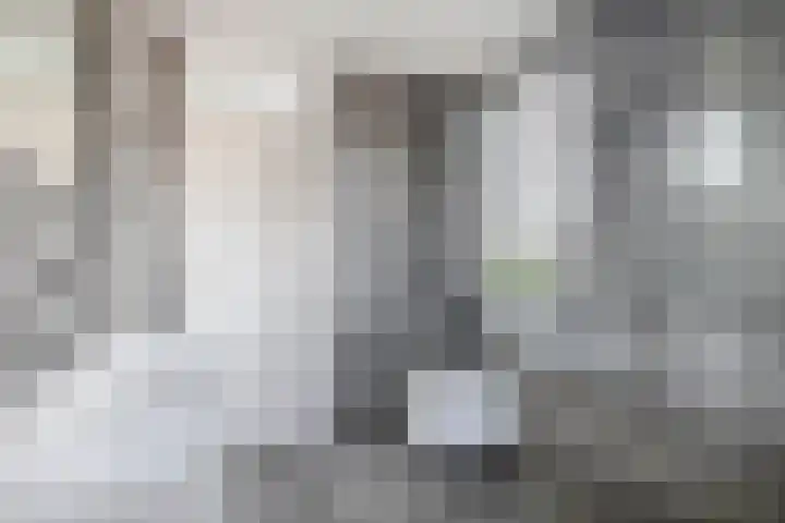 Betuwehof 32 A Helmond thumbnail 29