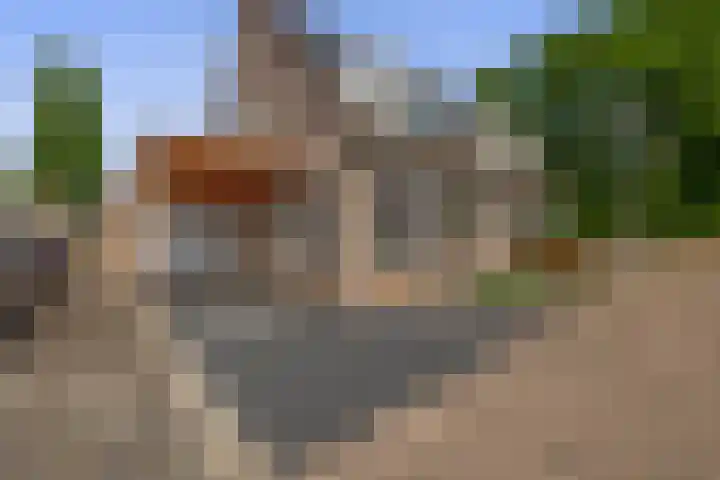 Betuwehof 32 A Helmond thumbnail 36