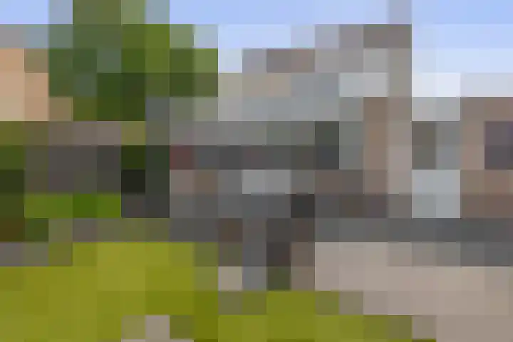 Betuwehof 32 A Helmond thumbnail 38