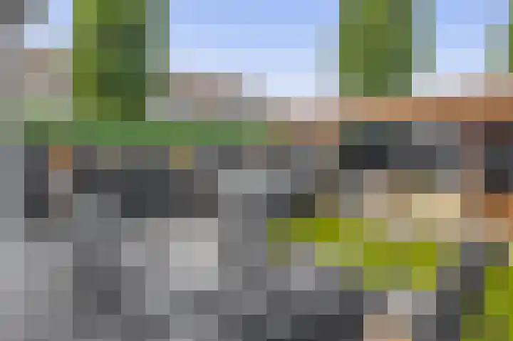 Betuwehof 32 A Helmond thumbnail 40