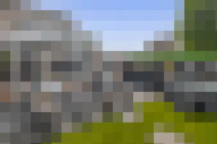 Betuwehof 32 A Helmond thumbnail 41