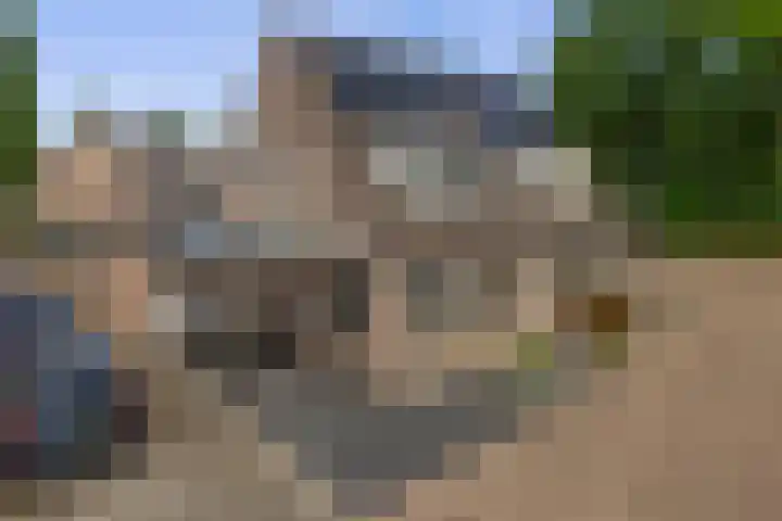 Betuwehof 32 A Helmond thumbnail 5