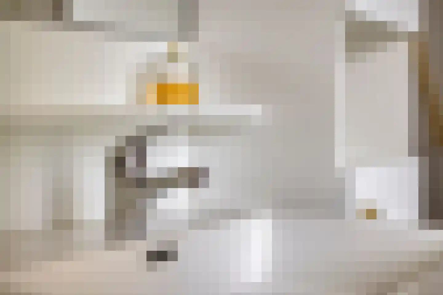 Betuwehof 34 Helmond thumbnail 38