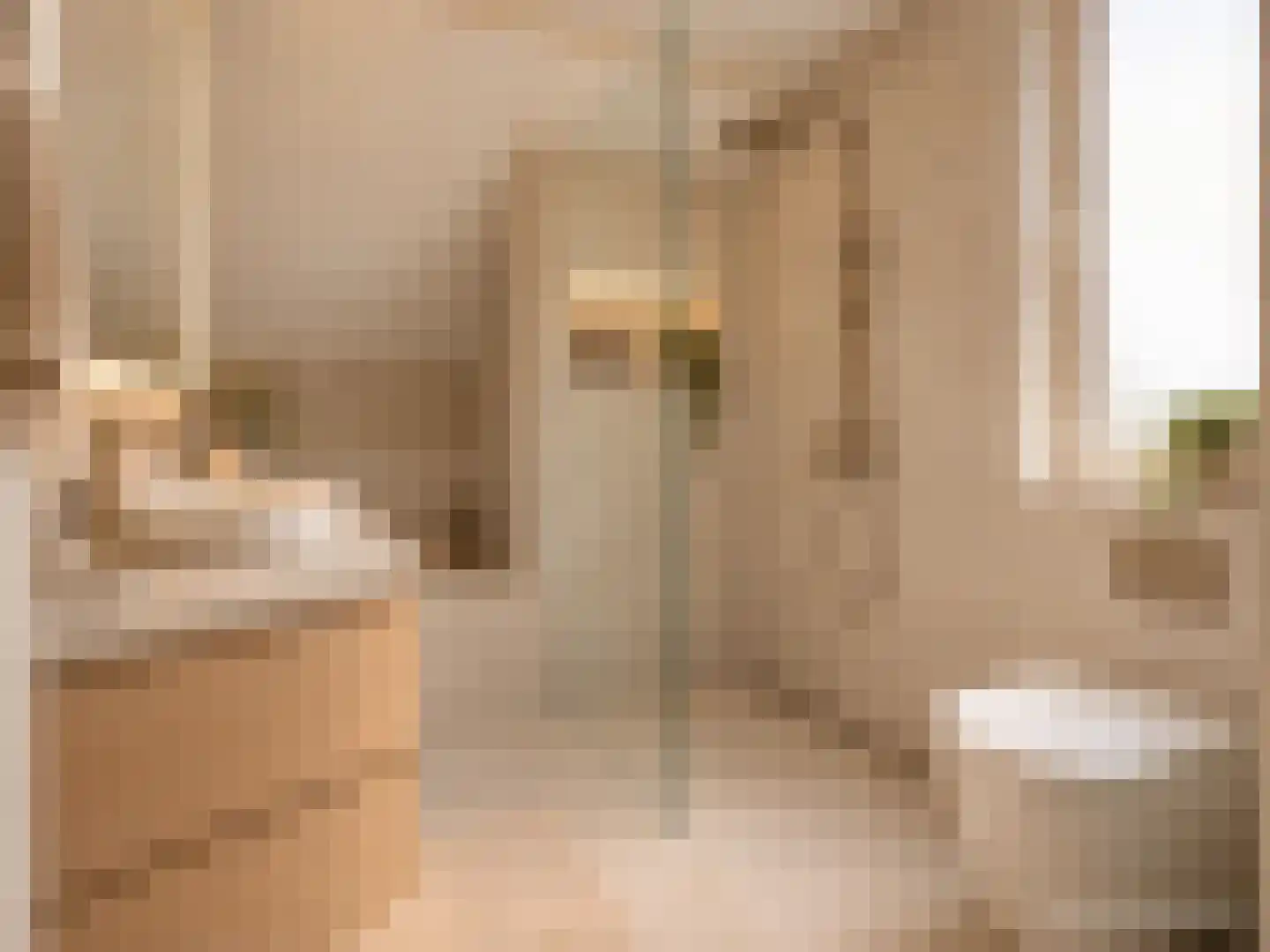 Betuwehof 34 Helmond thumbnail 41
