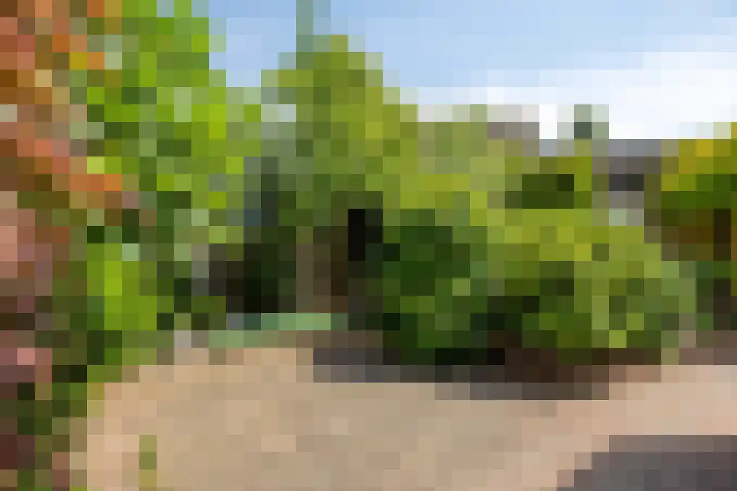 Betuwehof 34 Helmond thumbnail 49