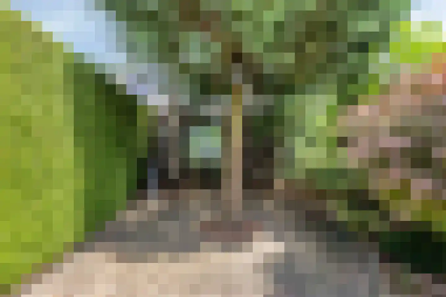 Betuwehof 34 Helmond thumbnail 53