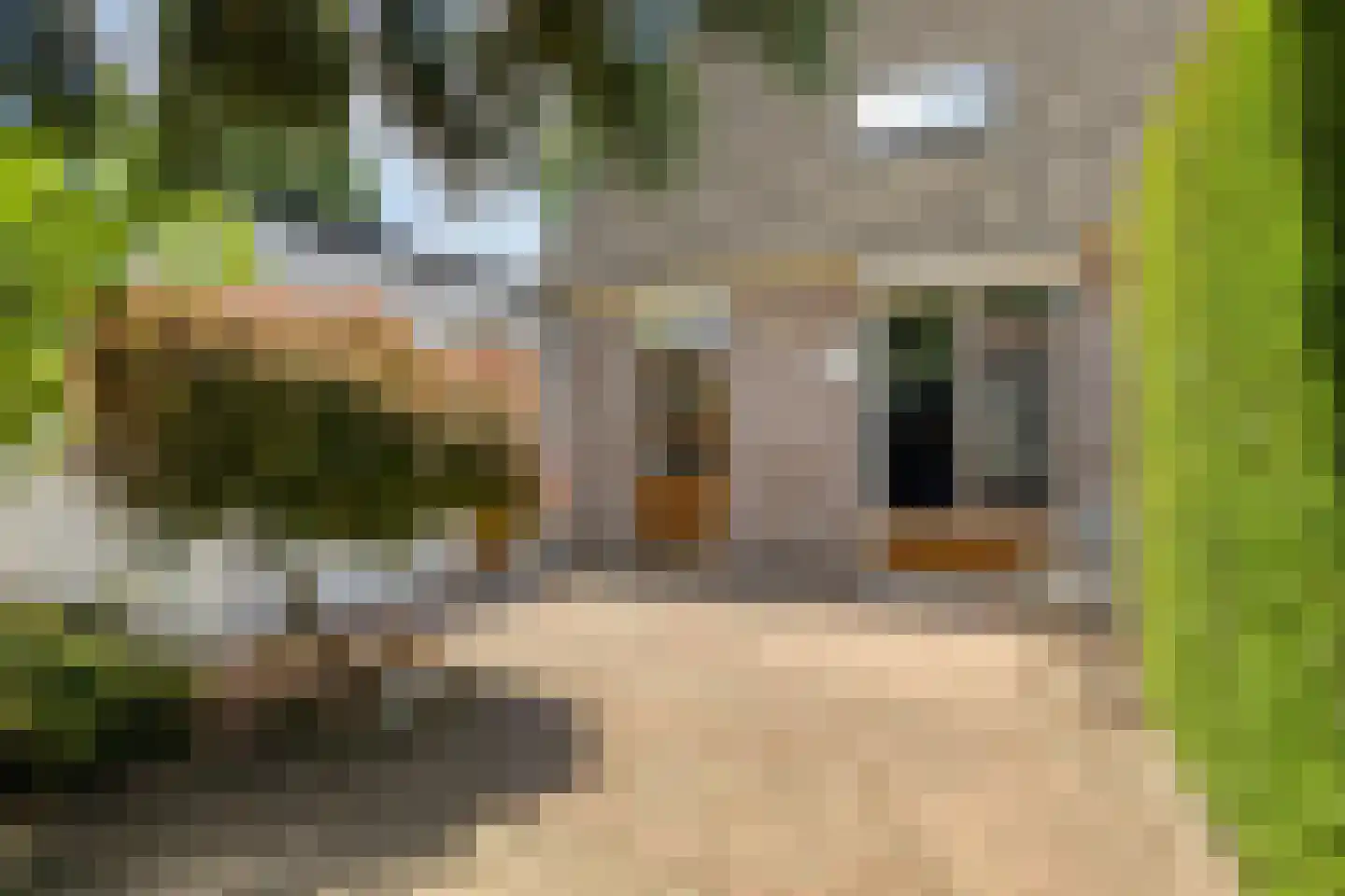 Betuwehof 34 Helmond thumbnail 55