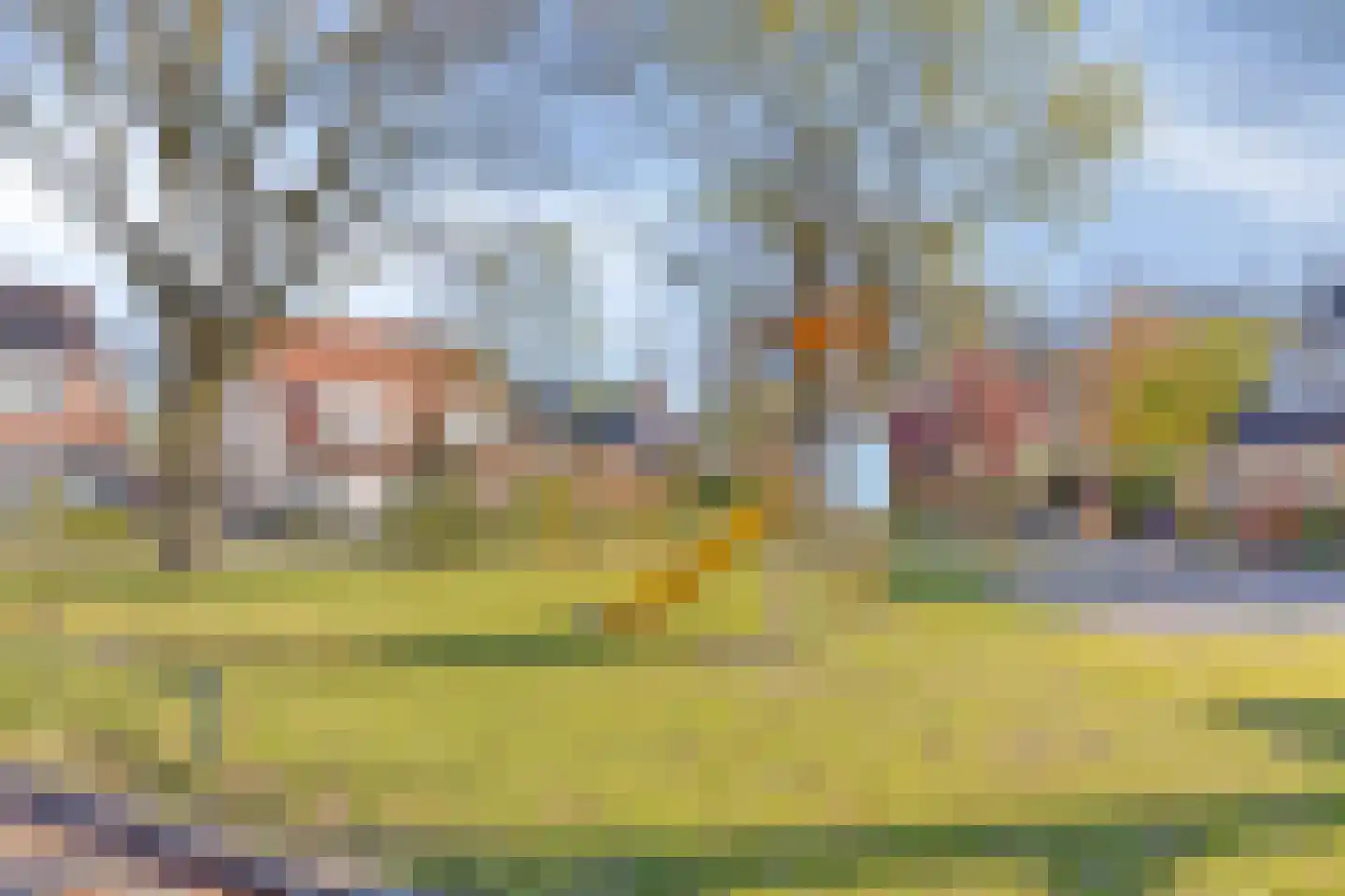 Betuwehof 43 Helmond thumbnail 10