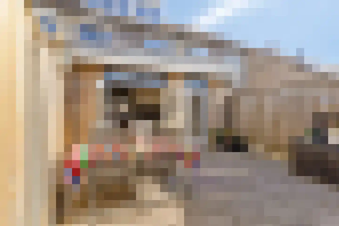 Betuwehof 43 Helmond thumbnail 37
