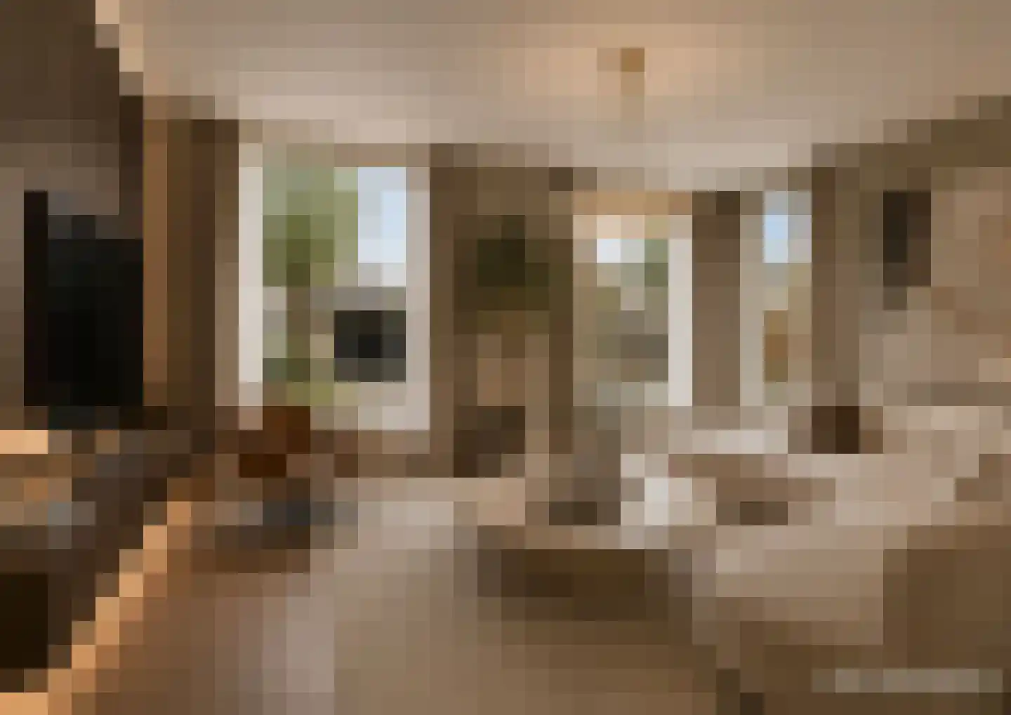 Betuwehof 44 Helmond thumbnail 16