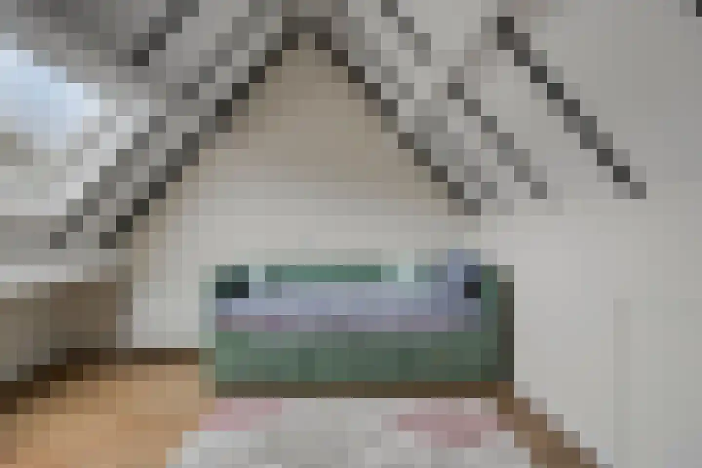 Betuwehof 44 Helmond thumbnail 31