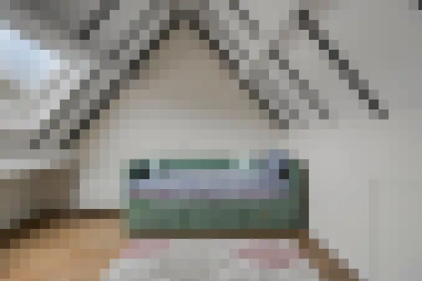 Betuwehof 44 Helmond thumbnail 34