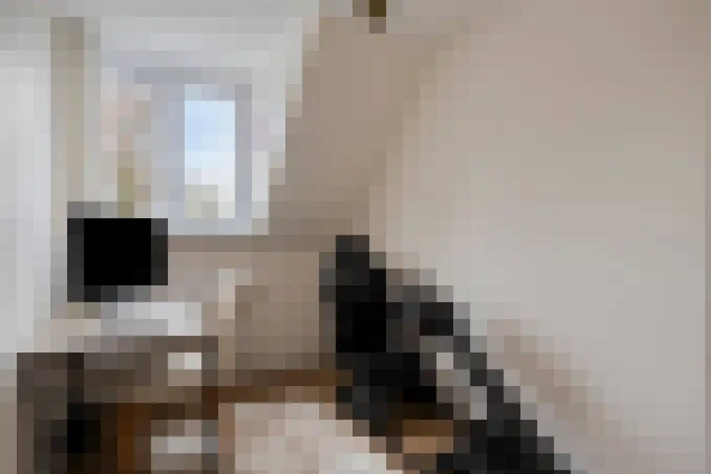 Betuwehof 44 Helmond thumbnail 5