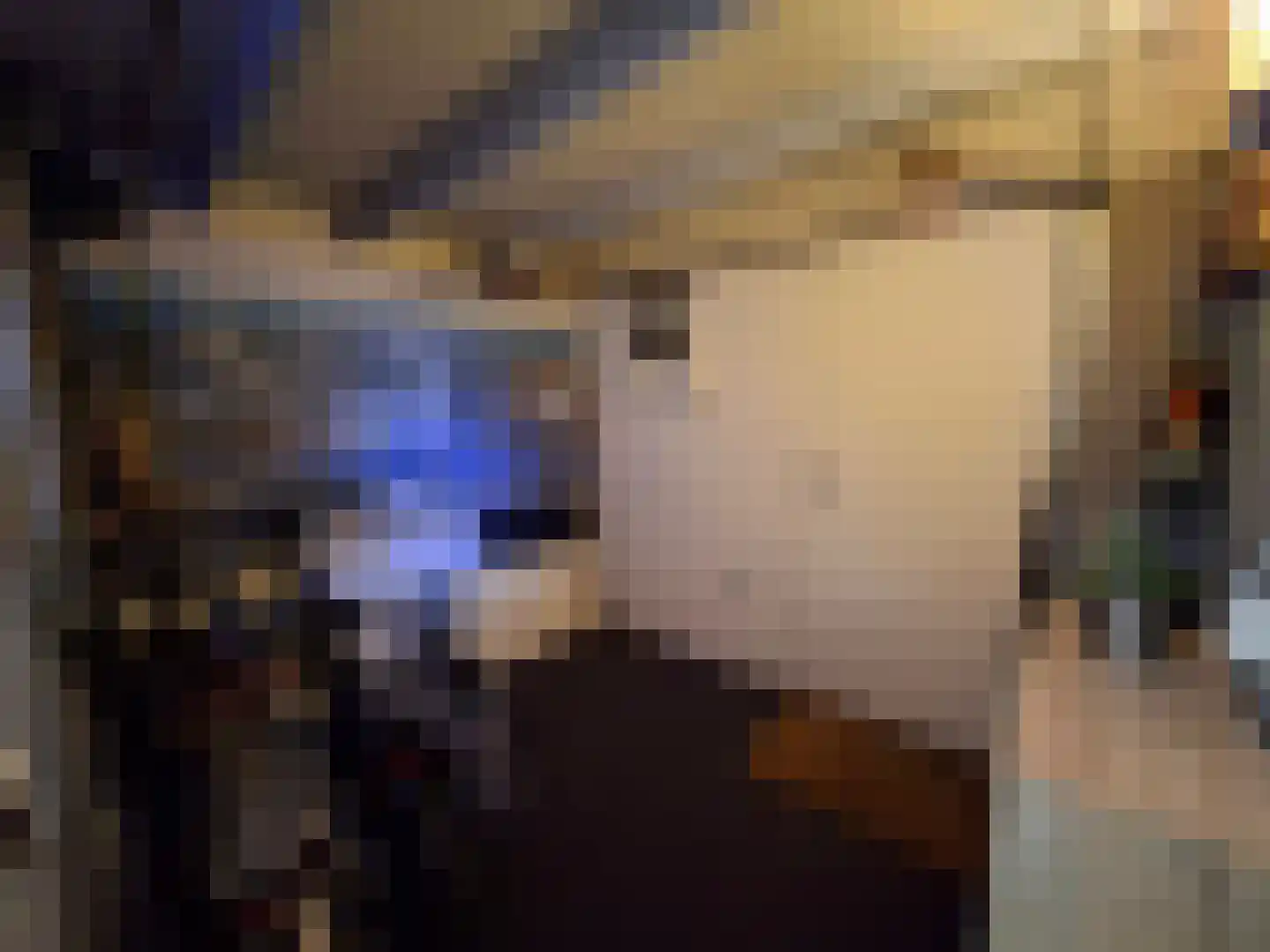 Betuwehof 50 Helmond thumbnail 17