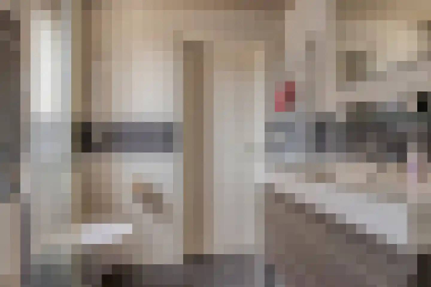 Betuwehof 50 Helmond thumbnail 25
