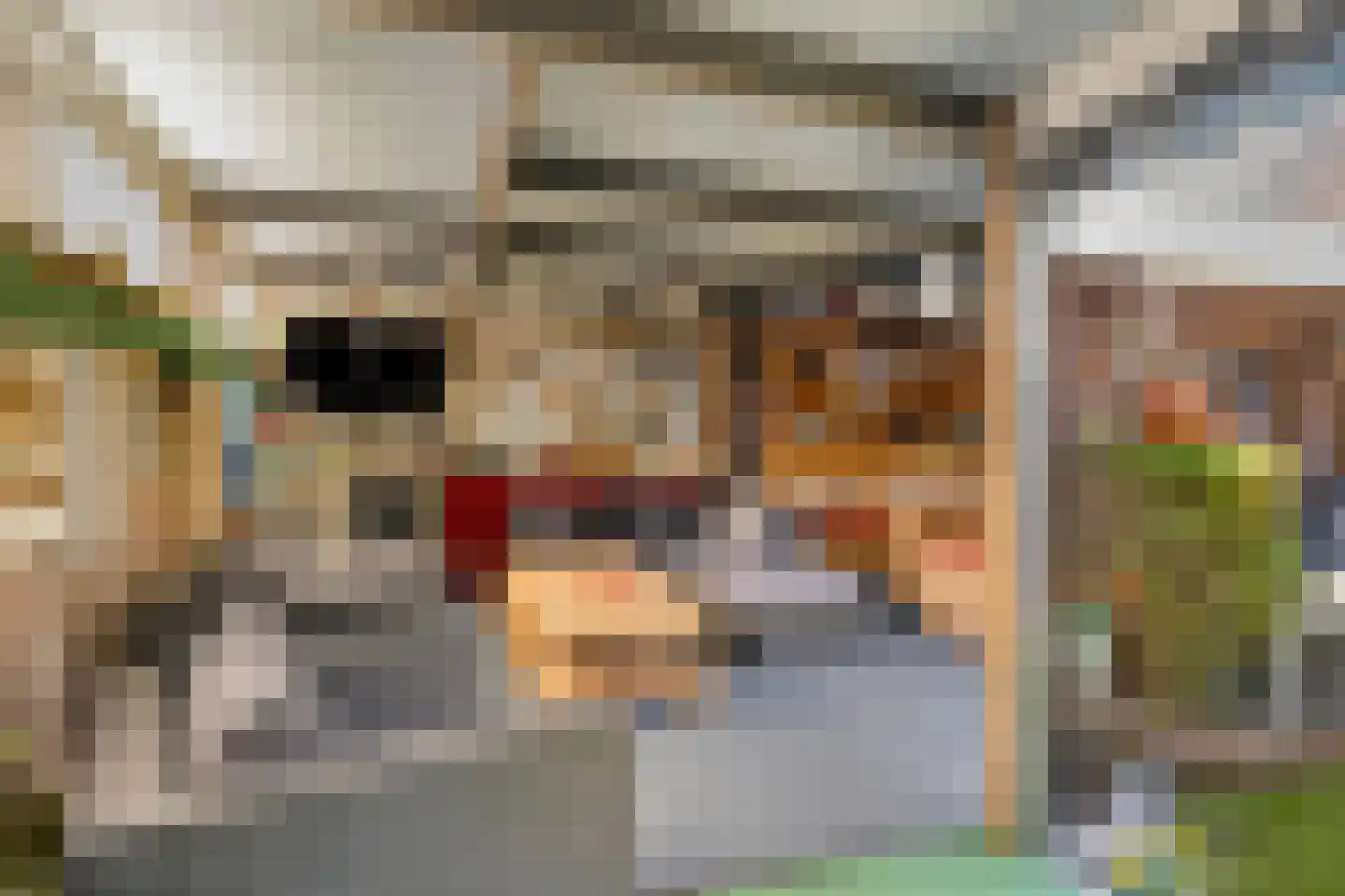 Betuwehof 50 Helmond thumbnail 32
